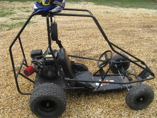 Illustration for article titled Hey can someone here run a carfax on a go kart for me?